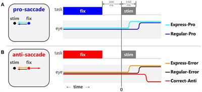 Modeling Saccadic Action Selection: Cortical and Basal Ganglia Signals Coalesce in the Superior Colliculus